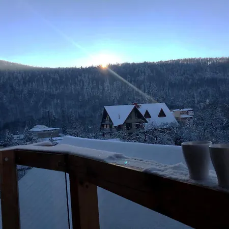 Forest Hotel Jaremtsche